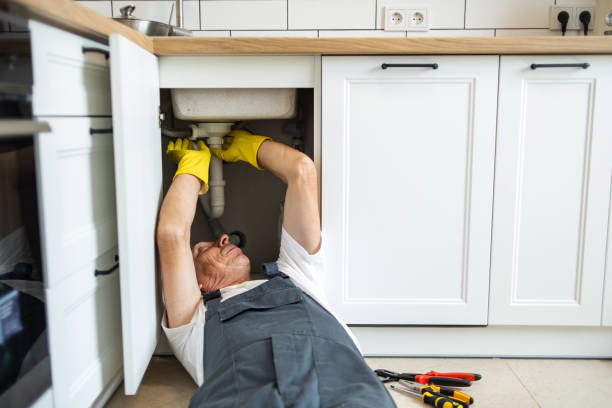 Best Sprinkler Systems  in Port Dickinson, NY